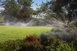 irrigation sprinkler system