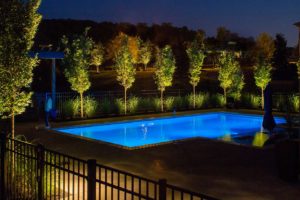 landscape lighting by blue pool