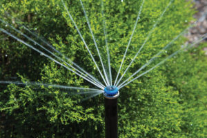 Hunter MP Rotator irrigation nozzle