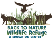 back to nature logo