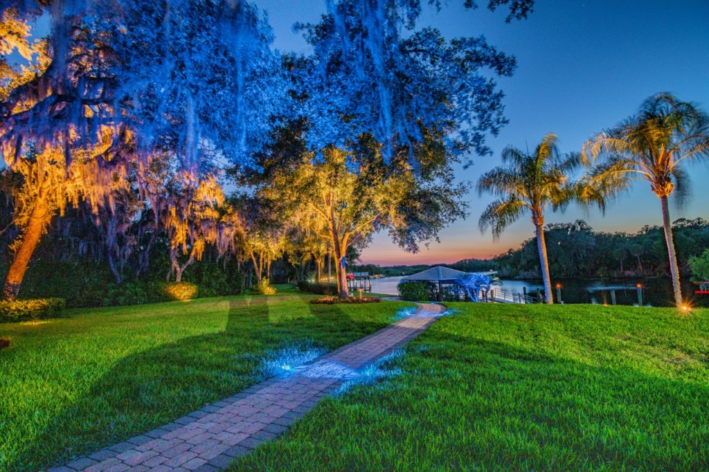 residential landscape lighting blue