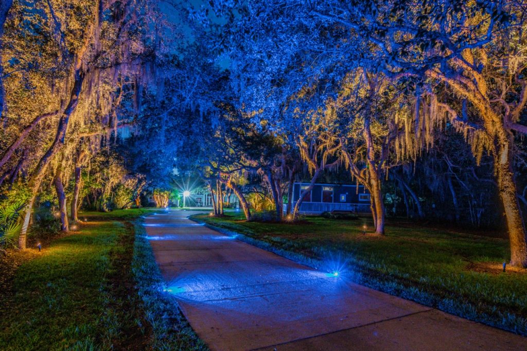 residential landscape lighting blue