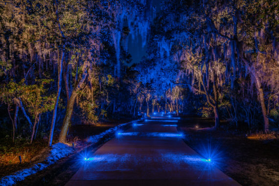 Central Florida Landscape Lighting Installation, Blue Driveway – Total