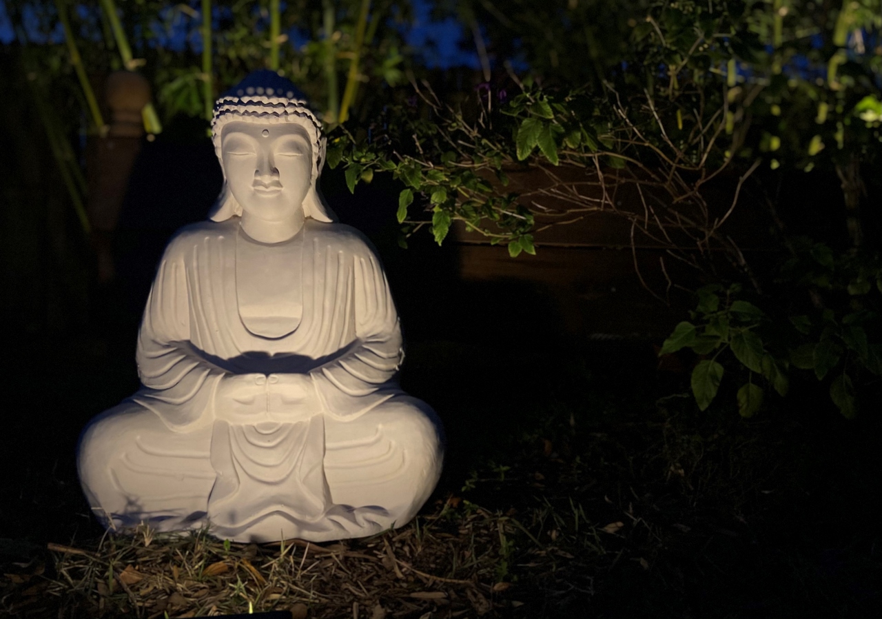 illuminated buddha